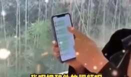 睿妈被爆料的视频在线观看,在线观看背后的真相与争议