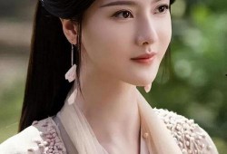 张芷溪事件爆料视频大全,揭秘爆料视频背后的真相与争议