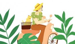 吃瓜大富翁知乎免费阅读,揭秘知乎免费阅读背后的故事