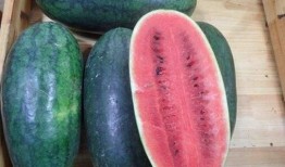 即墨网红吃瓜事件,揭秘网络舆论背后的真相与争议