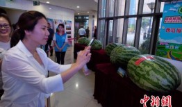 莱州今日吃瓜爆料新闻,揭秘当地热点事件背后的真相