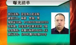 新闻爆料被执行人是谁,真相即将揭晓