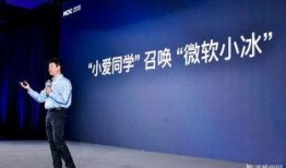 小米员工最新爆料视频大全,揭秘公司内部视频大全