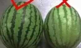 网红最全吃瓜合集,盘点年度最热话题合集