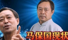 马保国裁判爆料视频,揭秘武术界风云事件