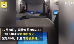 东航推特爆料视频下载,航班神秘事件幕后真相