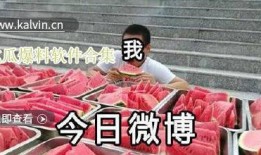 最新的爆料吃瓜群众视频,最新吃瓜群众视频爆料，真相令人震惊！