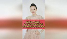 狗仔队爆料汪峰视频,狗仔队视频揭秘不为人知的一面