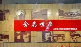 鲁迅博物馆爆料视频大全,独家爆料视频大全精彩瞬间回顾