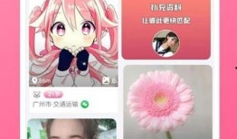 警方热点爆料视频下载软件,下载软件背后的真相