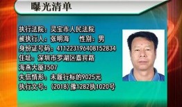 新闻爆料被执行人是谁,真相即将揭晓