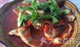 罗非鱼邻居爆料视频,揭秘水下生活点滴