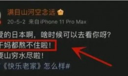 内鬼爆料捷德视频播放,揭秘捷德视频播放背后的惊人内幕