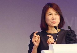 扒爷爆料董明珠视频全集,董明珠视频全集深度解析