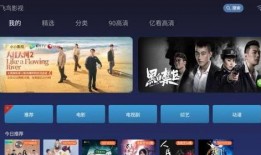 飞鸟影院在线观看