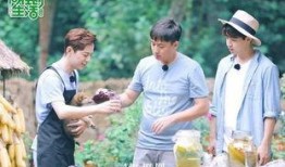 在线观看向往的生活1,跟随向往的生活第一季探寻乡村魅力