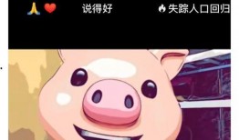 带猪头的爆料视频,背后惊人真相曝光！