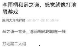 小凌吃瓜日记在线观看免费,揭秘娱乐圈幕后故事，免费在线观看