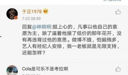 娱乐圈吃瓜文件叫什么,幕后真相大曝光