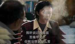 小说家背景故事视频爆料,一部小说家的成长历程