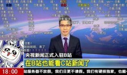 央视新闻网头条爆料,揭秘重大事件背后真相