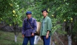 杨善洲电影在线观看,扎根边疆的奉献人生