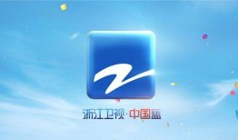 浙江卫视媒体爆料视频,揭秘热门视频背后的故事