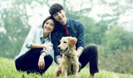 叶枫爆料边牧视频大全下载,边牧视频大全下载，一网打尽萌宠瞬间