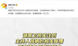 娱乐圈吃瓜文件叫什么,幕后真相大曝光