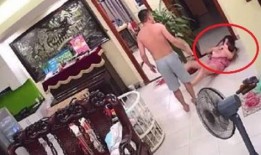 娱乐大爆料八卦白鹿,揭秘明星背后的故事