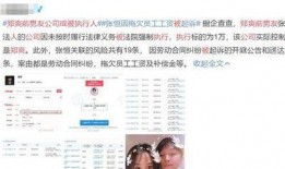 新闻爆料被执行人是谁,真相即将揭晓