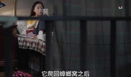 双子姐姐爆料视频,幕后真相大曝光！