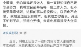 爆料张姓艺人名单最新版,张姓艺人名单大揭秘，娱乐圈风云再起
