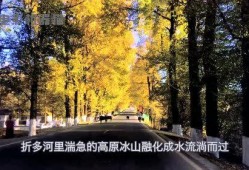 娱乐吃瓜君地址,探寻娱乐圈幕后故事