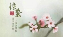 新版惊蛰在线观看,揭秘神秘古墓，探寻千年之谜