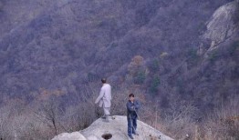 野山 在线观看,探寻自然与心灵的原始共鸣