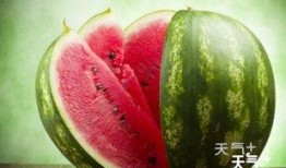 滨海网红吃瓜群微信,揭秘网络八卦背后的故事