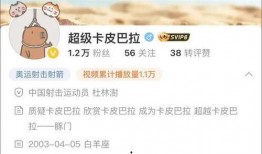 爆料四姐视频下载免费观看,免费下载观看视频背后的秘密