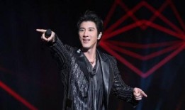 吃瓜娱乐圈 王力宏是谁,娱乐圈的璀璨明星