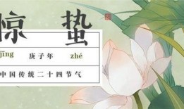 新版惊蛰在线观看,揭秘神秘古墓，探寻千年之谜