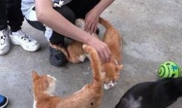 神爽爷最新爆料,娱乐圈幕后真相大曝光！