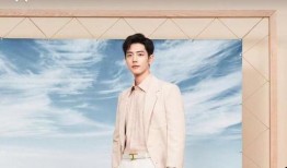 肖战八卦最新爆料,揭秘最新八卦爆料背后的真相