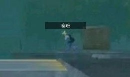 和平搞笑视频 爆料,爆笑瞬间，揭秘日常欢乐瞬间