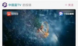 浙江卫视媒体爆料视频,揭秘热门视频背后的故事