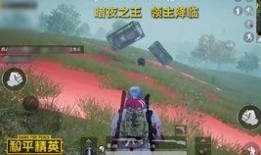 和平精英新版的爆料视频,全新内容与玩法大揭秘！