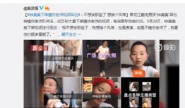 网友先生爆料视频大全集,揭秘网络热点背后的真相