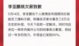 如何爆料欠薪视频大全,欠薪视频大全深度解析