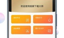 大师最新爆料视频大全下载,视频大全下载背后的秘密与趋势