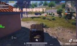 和平搞笑视频 爆料,爆笑瞬间，揭秘日常欢乐瞬间