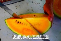 贵阳吃瓜爆料视频最新消息,揭秘视频背后的惊人真相